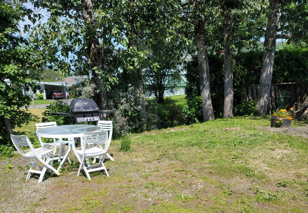 Апартаменти Lower Level Apt 6Ft High Close To Hwy Netflix Wifi Едмундстон Екстер'єр фото